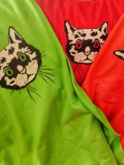 All hail the hypnocat