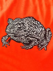 Kiss the toad!