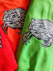 Kiss the toad!